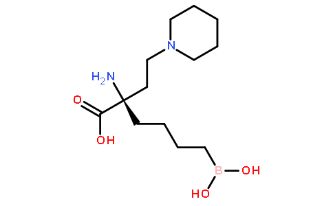 精氨酸酶
