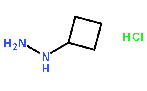 1-环丁基肼盐酸盐