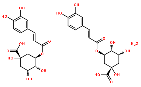 绿原酸半水合物