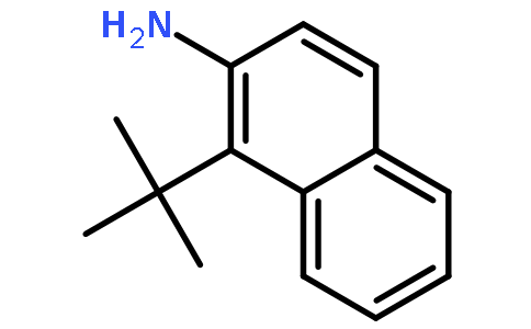 1-叔丁基萘-2-胺