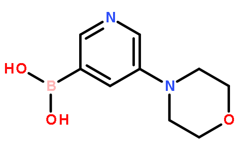 5-吗啉吡啶-3-基硼酸