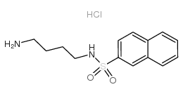 N-(4-氨基丁基)-2-萘磺酰盐酸盐