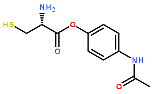 paracetamol cysteine