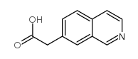 异喹啉-7-基-乙酸