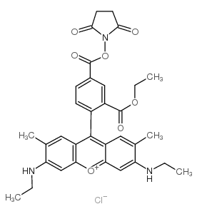 5-羧基罗丹明 6G 琥珀酰亚胺酯