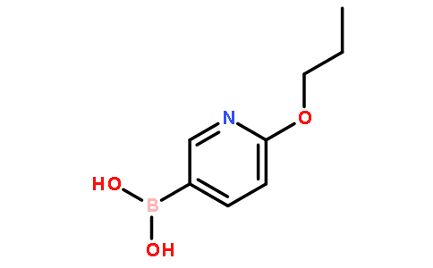 6-丙氧基吡啶-3-硼酸