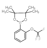 2-(三氟甲氧基)苯硼酸频那醇酯
