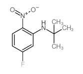 N-叔丁基-5-氟-2-硝基苯胺