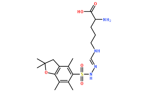 N5-[[[(2,3-二氢-2,2,4,6,7-五甲基-5-苯并呋喃)磺酰]氨基]亚氨甲基]-D-鸟氨酸