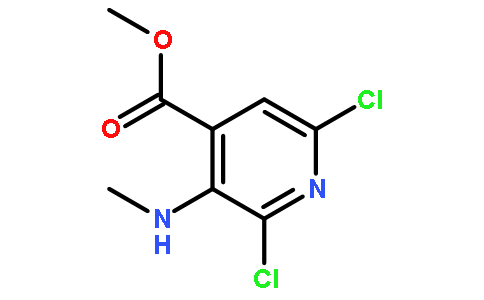 2,6-二氯-3-(甲氨基)异烟酸甲酯