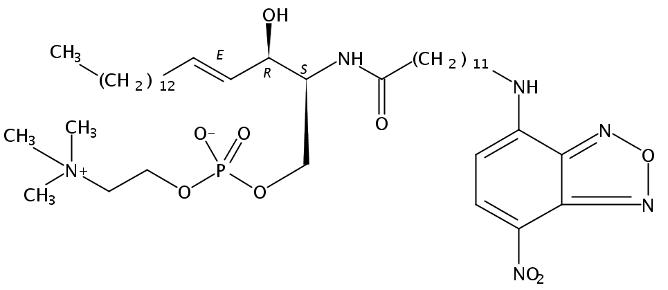 N-[12-[(7-nitro-2-1,3-benzoxadiazol-4-yl)amino]dodecanoyl]-sphingosine-1-phosphocholine