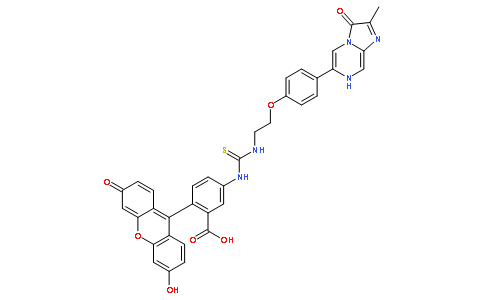 3,7-二氢-6-[4-[2-[N’-(5-荧光素)硫脲基]乙氧基]苯基]-2-甲基咪唑[1.2-A]并吡嗪-3-酮