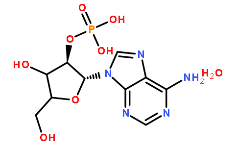 腺苷2- 一磷酸