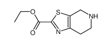 4,5,6,7-四氢-噻唑并[5,4-c]吡啶-2-羧酸乙酯