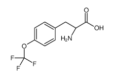 (2S)-2-氨基-3-[4-(三氟甲氧基)苯基]丙酸