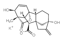 125-67-7结构式