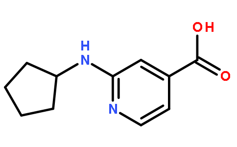 2-(Cyclopentylamino)isonicotinic acid