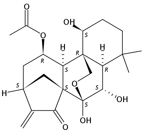 Taibaihenryiins A