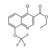 ethyl 4-chloro-8-(trifluoromethoxy)quinoline-3-carboxylate