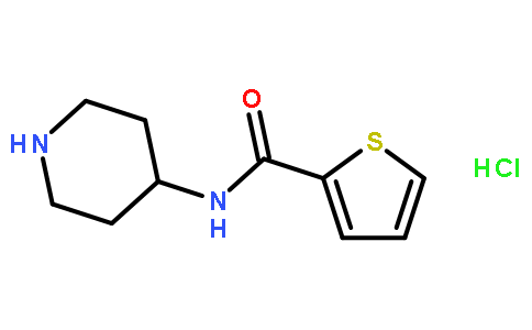 N-(哌啶-4-基)噻吩-2-羧酰胺盐酸盐