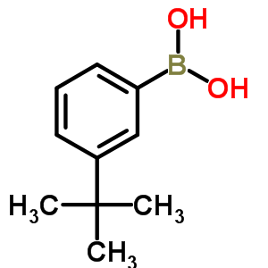 (3-tert-butylphenyl)boronic acid