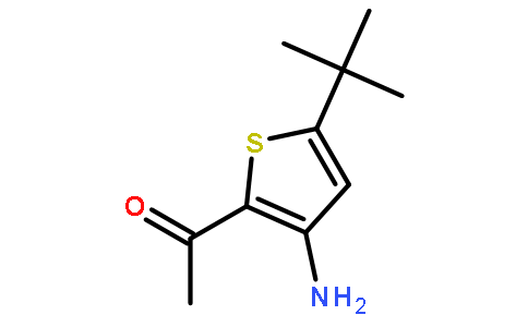 2-乙酰基-3-氨基-5-叔丁基噻吩