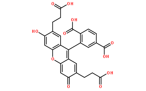 2,7-双(2-羧基乙基)-5(6)-羧基荧光素