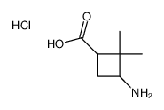 3-amino-2,2-dimethylcyclobutane-1-carboxylic acid,hydrochloride