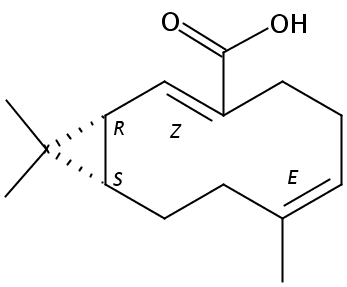 Volvalerenic acid A