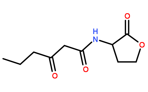 荧光素酶