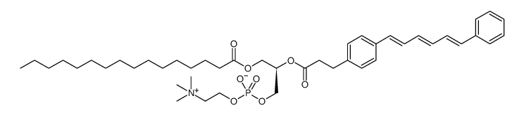 ?-DPHHPC[2-(3-(Diphenylhexatrienyl)propanoyl)-1-hexadecanoyl-sn-glycero-3-phosphocholine]