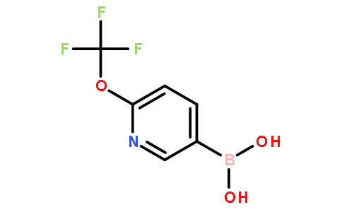 6-(三氟甲氧基)吡啶-3-基]硼酸