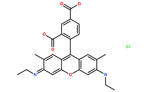5-羧基罗丹明6G