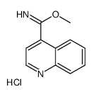 methyl quinoline-4-carboximidate,hydrochloride