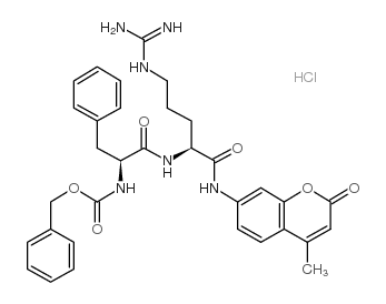 Z-苯丙胺酰-精氨酸-7-氨基-4-甲基香豆素盐酸盐