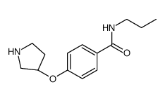 N-丙基-4-[(3S)吡咯烷氧基]苯甲酰胺