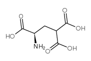 Γ-羧基-D-谷氨酸