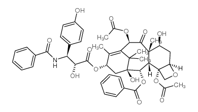 3'-P-羟基紫杉醇