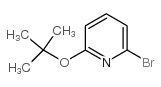 2-溴-6-叔丁氧基吡啶