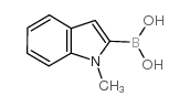 N-甲基吲哚-2-硼酸