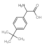 2-氨基-2-(4-叔丁基 苯基)乙酸