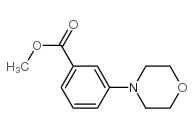 3-吗啉苯甲酸甲酯