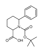 6-苯基-哌啶-1,2-二羧酸 1-叔丁酯