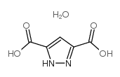 吡唑-3,5-二羧酸单水合物