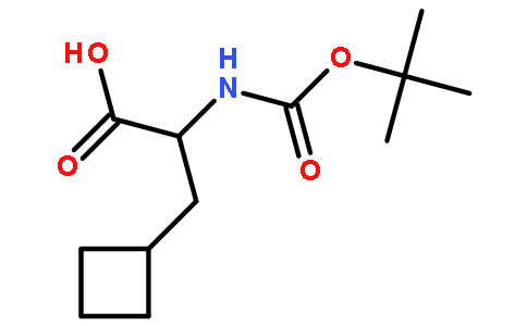 N-叔丁氧羰基-D-环丁基丙氨酸