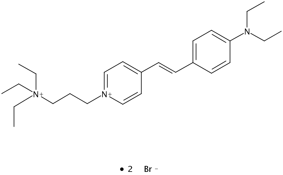 NeurotransGreen C<sub>2</sub> [N-(3-Triethylammoniumpropyl)-4-(4-(diethylamino)styryl)pyridinium dibromide], [FM<sup>®</sup> 2-10, TM of Molecular Probes]