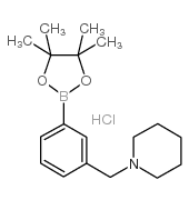 3-(哌啶-1-甲基)苯硼酸频那醇酯盐酸盐