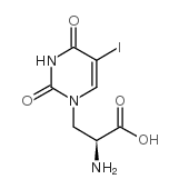 (S)-(-)-5-Iodowillardiine