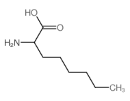 2-氨基辛酸
