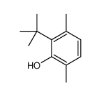 2-tert-butyl-3,6-dimethylphenol